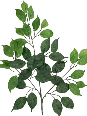 Preisvorteil - EUROPALMS Ficuszweig Benjamina, künstlich, 12x