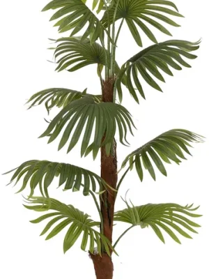 EUROPALMS Fächerpalme, Kunstpflanze, 155cm | Neu gelistet