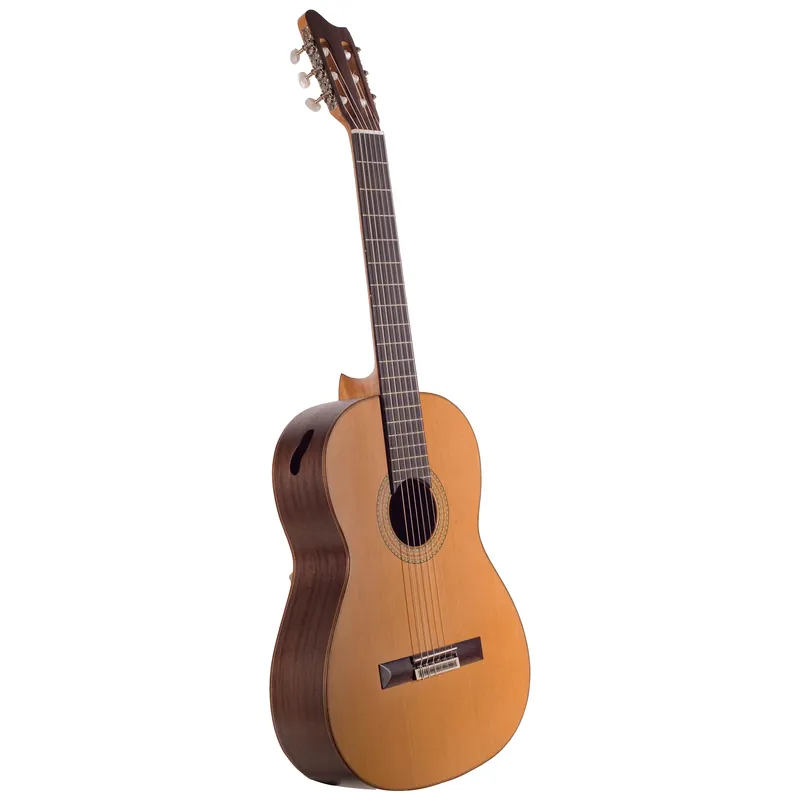 Deal | Amano 5C
