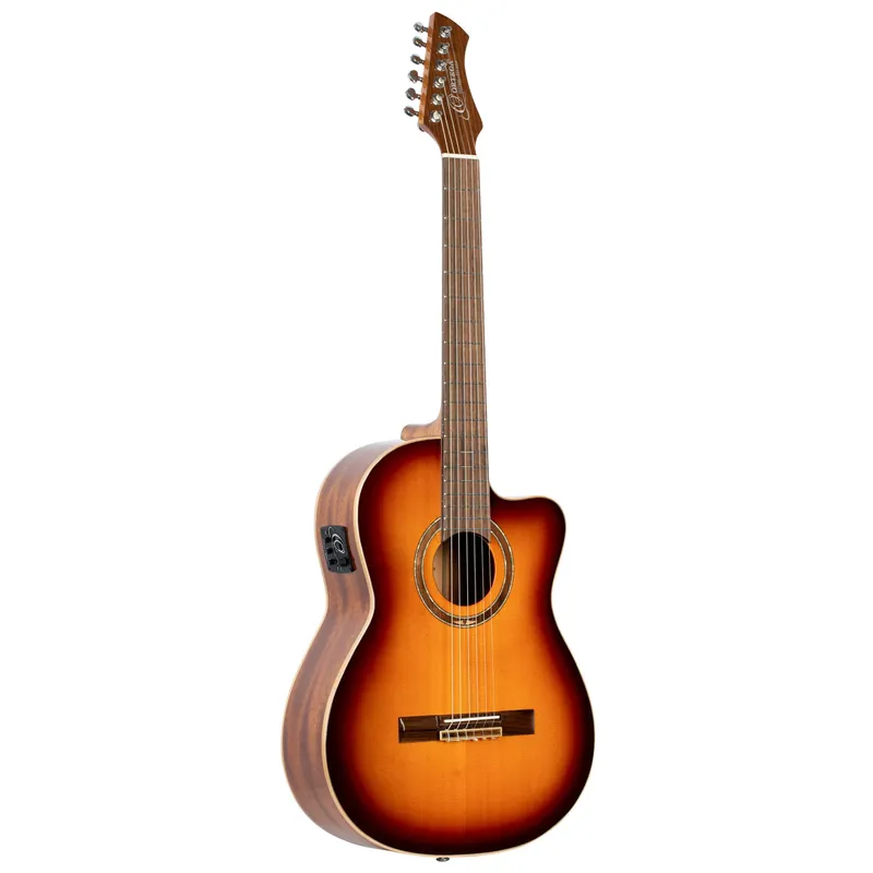 Preis gesenkt | Ortega RCE238SN-FT