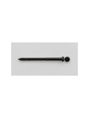 Göldo Music SR1SB Schraube für Bass-Pickups, 2,5 x 35 mm, schwarz - Markenqualität