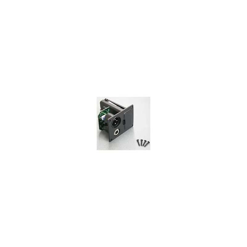 Nur heute | Ibanez 5AJB01F Output Jack + Battery Holder