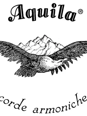 Aquila 38U Concert 2 w. Singth | Jetzt verfügbar