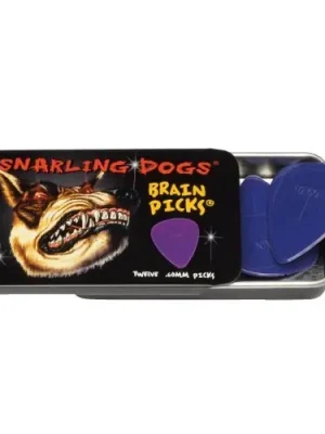 D‘andrea Snarling Dog Brain Picks - 351 Shape (TNSDB351 .60), 12 pcs Pick Tin, 0.60 mm, Purple - Nicht verpassen