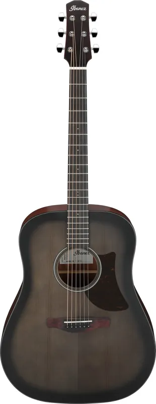Ibanez AAD50-TCB - Aktion