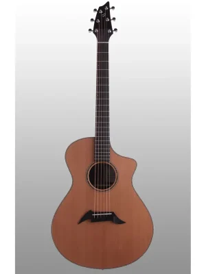Preis gesenkt - Breedlove PR C25/CR Pro Concert vollmassiv inkl. Koffer
