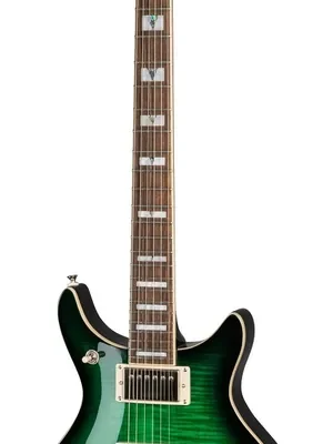 Epiphone DC Pro Wild Ivy | Nicht verpassen