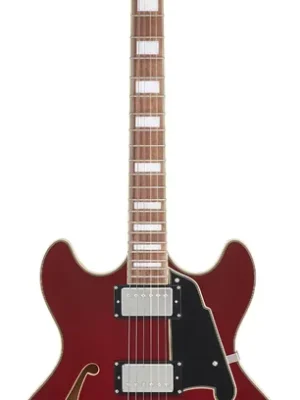Jetzt verfügbar | D‘angelico Premier DC Burnt Red