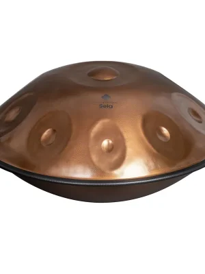 Sela Phoenix Handpan D Amara SE 321 | Premium-Qualität