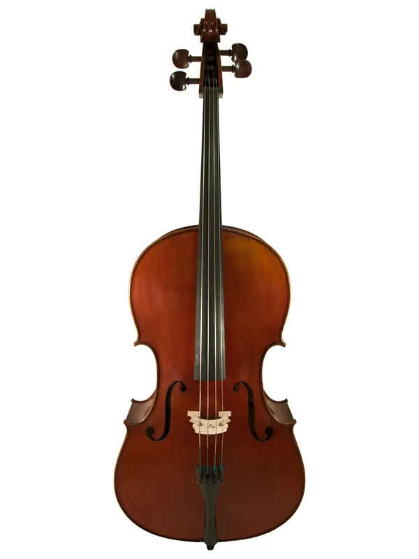 Valentina Cello VC-1903 7/8 - Verfügbar
