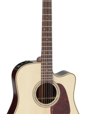 Neu gelistet | Takamine P5DC Natural