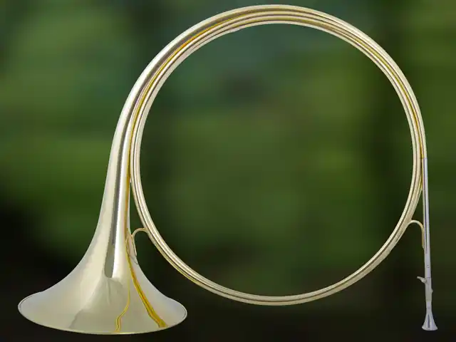 Mega-Angebot | ES5020 Es Parforcehorn