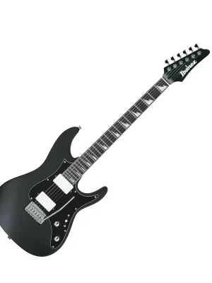 BER10 Bernth Signature Gitarre | Profi-Qualität