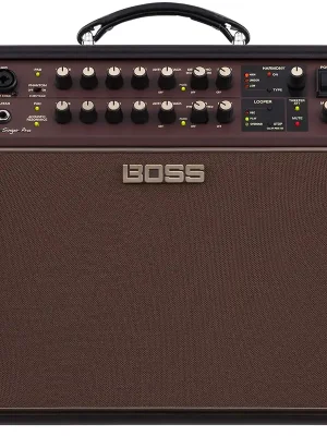Werkspreis - Boss ACS Acoustic Singer Pro