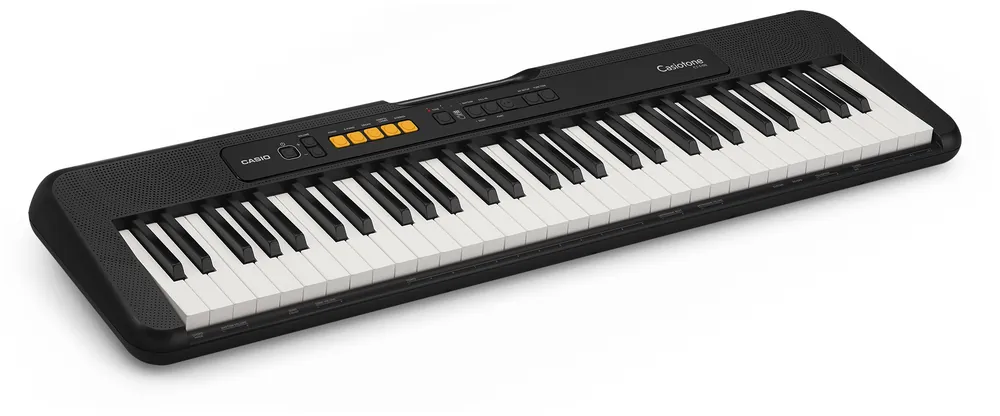 Werkspreis | Casio CT-S100 BK