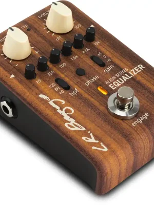 Preis gesenkt - L.R.Baggs Align EQ Effektpedal